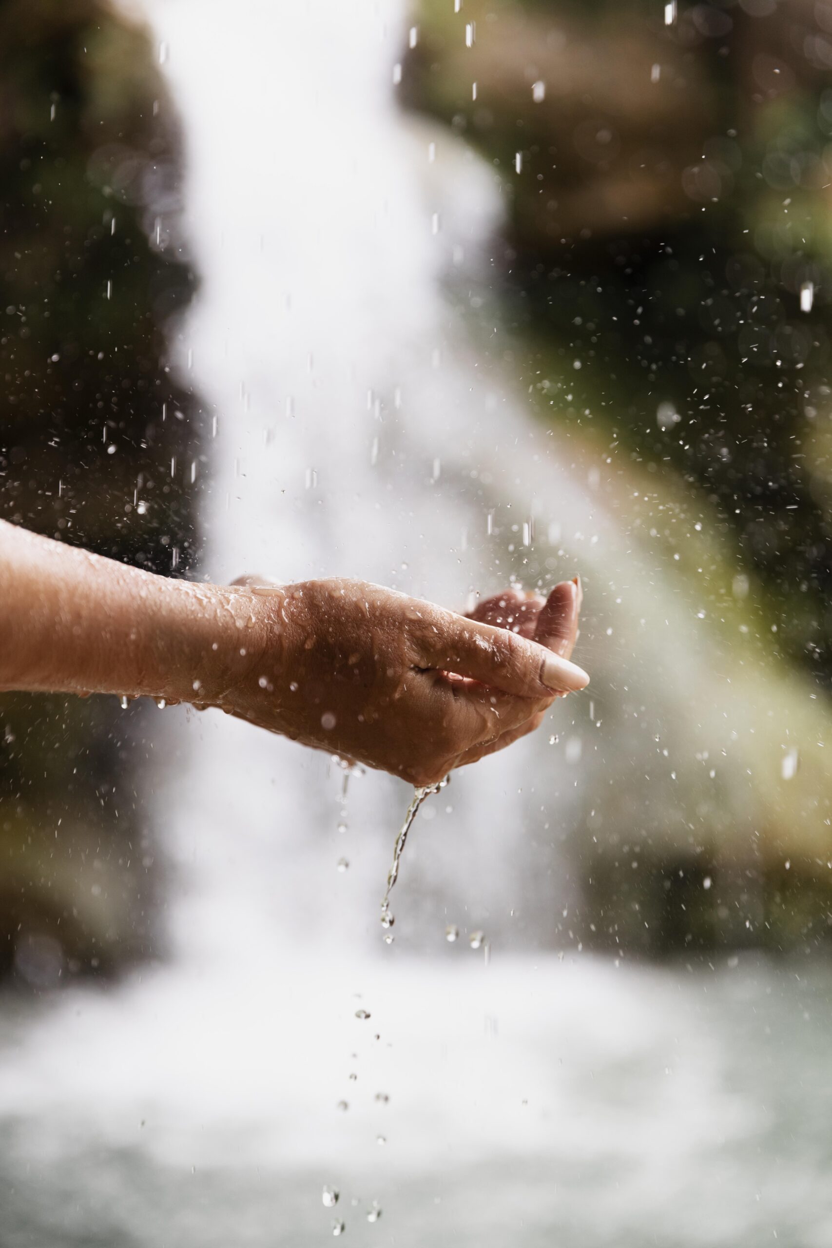 close-up-young-female-hands-nature