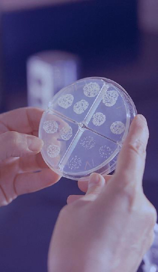 pathogens1