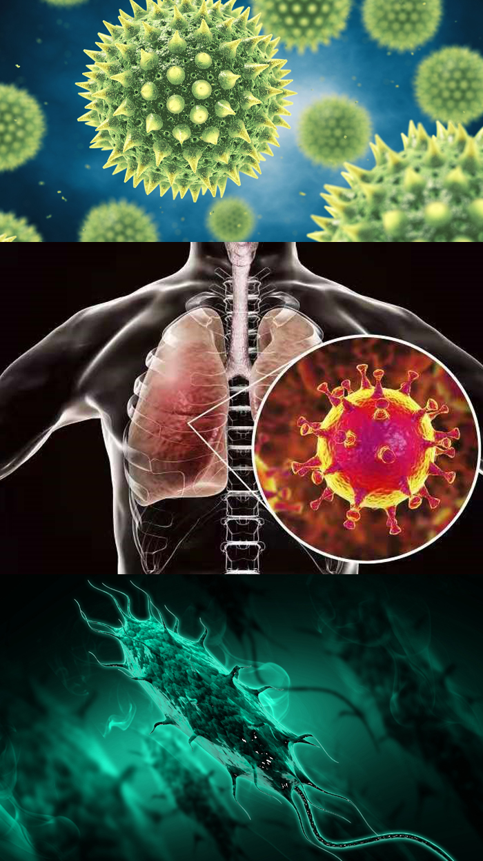 Top-down view of numerous monkeypox viruses in a petri dish, representing viral infection and epidemic research. Viral spread and disease prevention illustration.